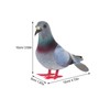 Yardwe 2PCS Simulation Pigeon Model, Foam Fake Pigeon Artificial Animal