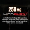 Quemador Grasa Termognico Jacked Factory Burn XT Max 90 Cpsulas