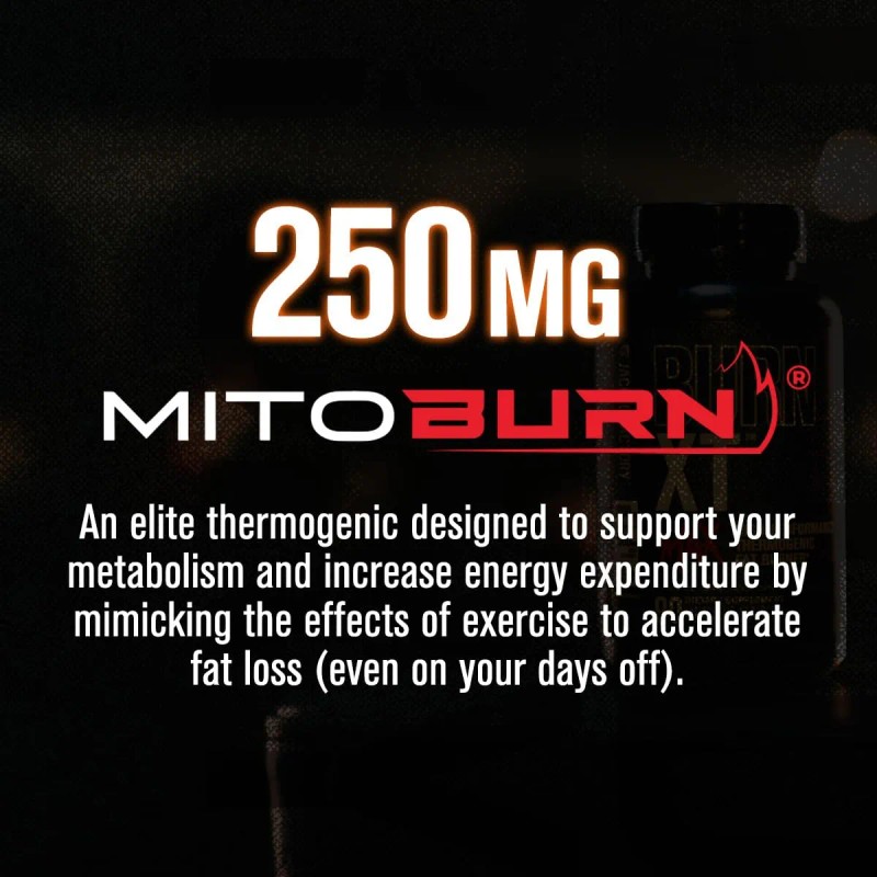 Quemador Grasa Termognico Jacked Factory Burn XT Max 90 Cpsulas