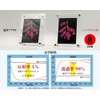 HARZLAS AR Low Reflection UV Cut Acrylic Photo Frame, Photo
