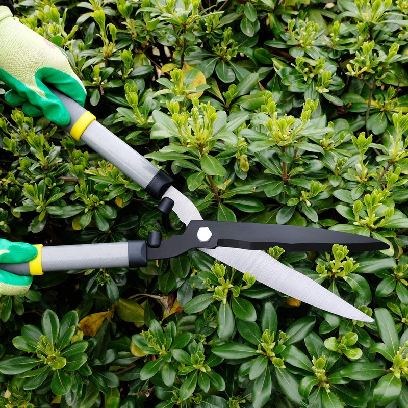Colwelt Hedge Clippers 21'', Hedge Shears for Trimming Borders, Boxwood,