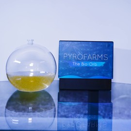 Large Bioluminescent Bio-Orb Gift Option - Living 6-inch Glass Orb with Free Glowing Plankton Coupon