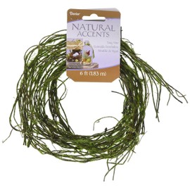 Darice 1186-18/DCLC Twig Garland - Vine, Naturals, Green, 6 ft