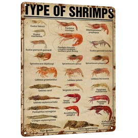 HYBLOM Vintage Types of Shrimps Metal Sign - Fun & Educational Seafood Tin Poster for Kitchen, Dining Room, Supermarket & Restaurant Wall Decor 8x12 Inches