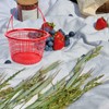 INOOMP 10pcs Plastic Berry Baskets Fruit Picking Basket with Handle