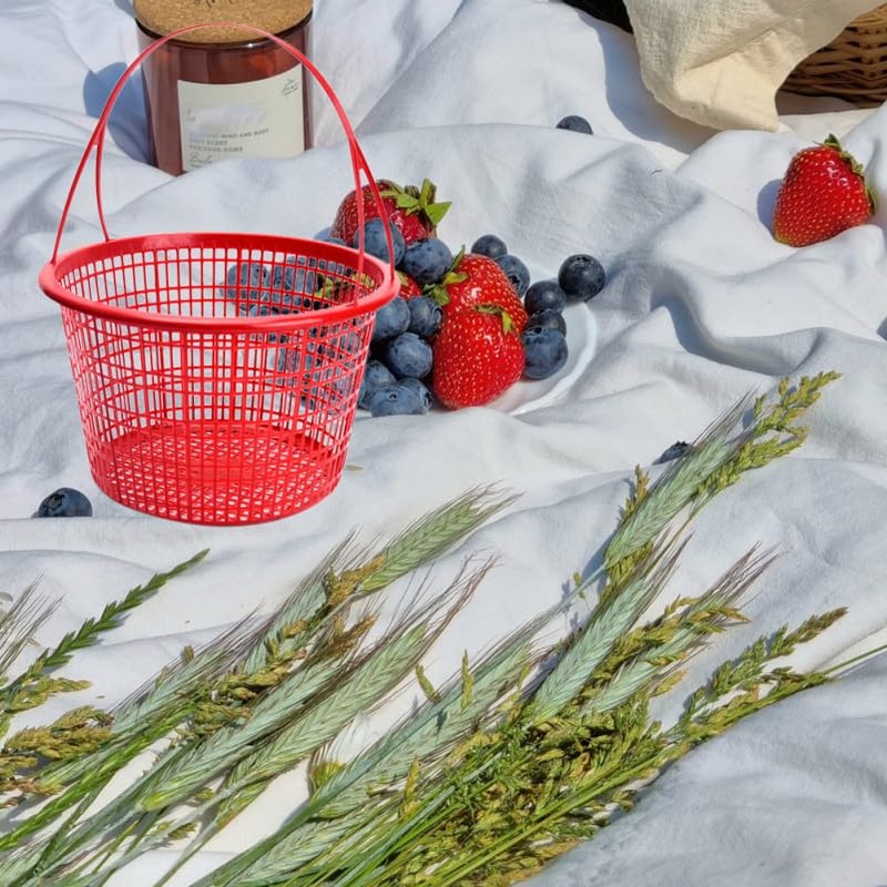 INOOMP 10pcs Plastic Berry Baskets Fruit Picking Basket with Handle