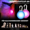 Pack of 6 Dog Collar Pendants, LED Light Pendants, Light