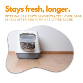 Arm & Hammer Cat Litter Deodorizer with Baking Soda 20.00 oz - Pack of 2 (40 oz in total) Litter Box Deodorizer Bundled with LarasBundle Catnip Mice and Spring Toy