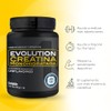 EVOLUTION, Creatina Monohidratada, Suplemento Alimenticio, 100 Porciones, 500g, Sin Gluten,