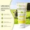 Grass-Fed Beef Tallow Moisturizer: The Everything Cream for Face and