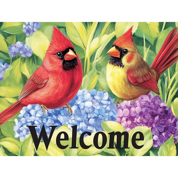 LOMSIOY DIY Diamond Painting Set Bird 5D Diamond Painting Pictures