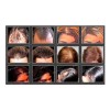 Sevich Micro Fibras Naturales 100g Café Oscuro 2 Pza Full
