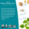 Earth Mama Organic Ginger Nausea™ Tea | Comforts Occasional Nausea