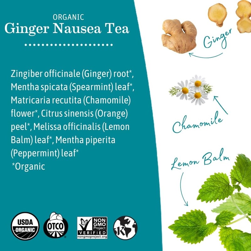 Earth Mama Organic Ginger Nausea™ Tea | Comforts Occasional Nausea