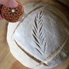 Bread Lame Cutter for Homemade Sourdough Bread Bakers, Slashing Tool