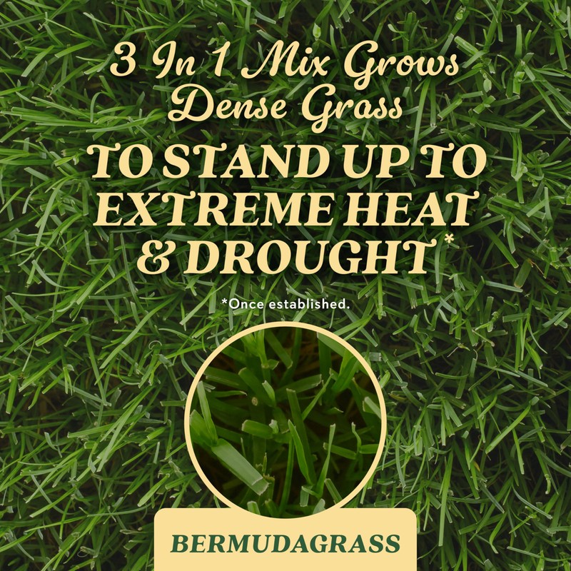 O.M. Scott and Sons Bermudagrass Grass Seed - Lawn Seed,