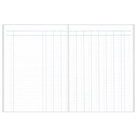 Collins 61 Series 11 Money Column Account Book