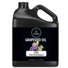 Naturevibe Botanicals Grapeseed Oil 32 Ounces | 100% Pure and