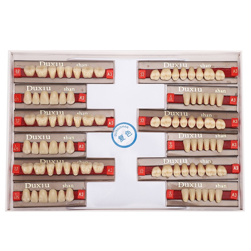 Dental Synthetic Resin False Teeth Dental Material Teeth Denture Dentist