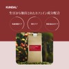 [KUNDAL] Caffeine Scalp Shampoo #Ylang Ylang Natural Caffeine Hair Care