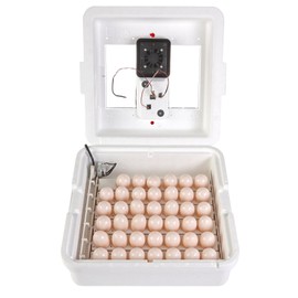 Little Giant Little Giant? Digital Circulated Air Incubator with Automatic Turner | 41 Eggs | Egg Incubator with Fan and Egg Turner