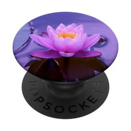 Flower Plant Bright Purple Pink Water Lily Love Gift