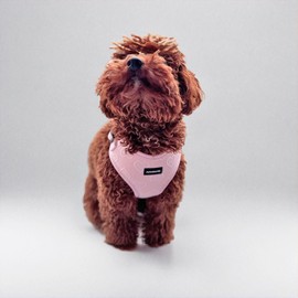 No Pull Puppy Harness and Leash Set – No Choke Neoprene Dog Harness for Large Dogs (40–60 lbs) – Pink - L, Lightweight Breathable Mesh with Unique Heart Pattern, Adjustable Fit