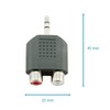 AKORD 3.5 mm Male Stereo Plug to 2 RCA Female