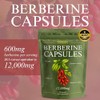 Berberine 12000mg High Strength | 97% HCL Berberine Supplement |