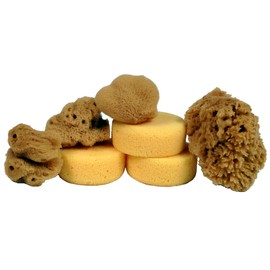Creative Hobbies® Synthetic and Natural Silk Sponges for Painting, Crafts, Ceramics, Pottery and More, Value Pack of 7 Sponges
