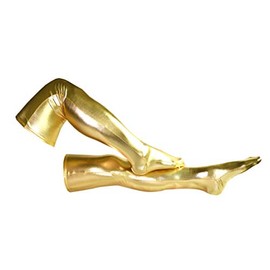 Seeksmile Unisex Shiny Metallic Spandex Skintight Stocking (60 CM, Gold)