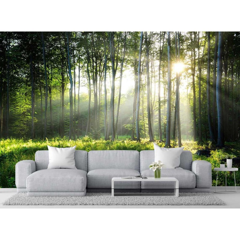 Wmjurel Sunshine in The Woods Mural, Large Jungle Mural, Suitable