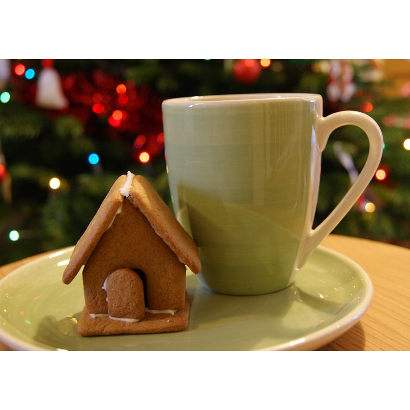 Gingerbread House Cutter Set (Tiny) - Stainless Steel Cookie Cutter