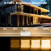 Gliztech IP67 Waterproof COB LED Strip Lights AC 120V Direct