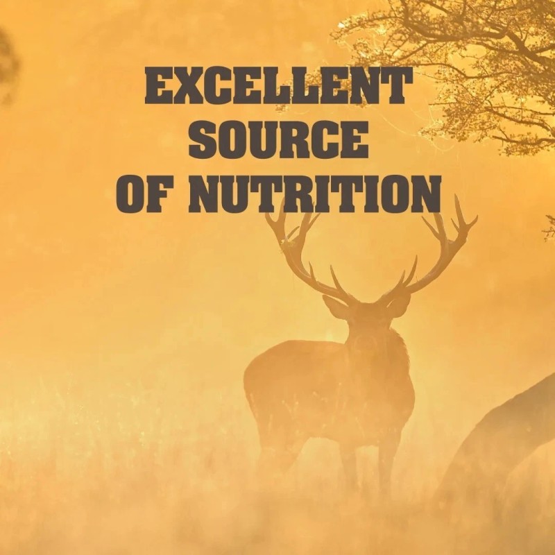 Manna Pro Top Score Apple Deer Corn 30lb