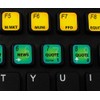 BLOOMBERG TERMINAL NEW KEYBOARD STICKERS SHORTCUTS