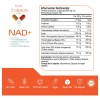 NAD+ 200 capsulas (1300mg por porcion) con Trimethylglycine y Acido