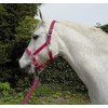 Rhinegold Carnival Headcollar & Rope Carnival Headcollar & Rope Raspberry
