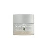MISSHA [Missha] Artemisia Calming Cream 50ml, 1ea