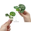 Smoothedo-Pets Betta Fish Tank Cave Decorations Aquarium Decoration Ornaments Accessories