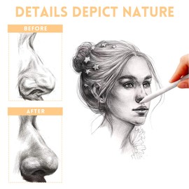 13 Pcs Blending Stumps For Drawing,Tortillions Set With Sandpaper Board,Professional Art Blenders & Sketch Drawing Tools For Shading,Blending Pencil Art Supplies Kit For Beginner,Students, Adults,Charcoal Pencil Drawing