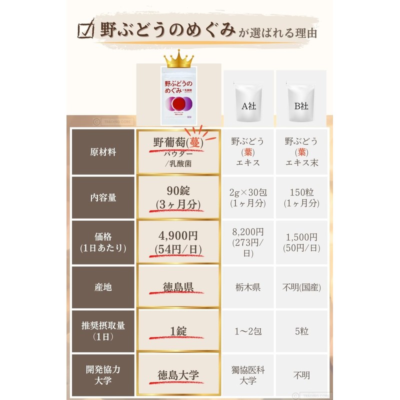 野ぶどうのめぐみ＋乳酸菌 サプリメント・90錠