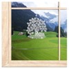 Set of 4 Window Stickers Four Seasons Trees High-Quality Window