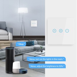 Lancoon Professional Dimmer with Tempered Glass Pane, Supports Time Function of Wireless Voice Remote Control for Dimmable Bulbs (Gold)