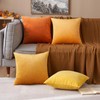 MIULEE Set of 2 Velvet Soft Solid Decorative Square Scatter