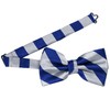 tiemart Striped Bow Tie (Royal Blue and Silver)