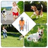 Cooling Vest for Dog - Dog Cooling Down Jackets -