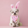 ADOGGYGO Easter Dog Bandana, Pink Rabbit Pattern Dog Scarf, Premium