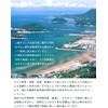 Mitoyo Olive Olive Powder Produced in Kagawa Prefecture, 1.8 oz
