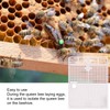 5Pcs Reusable Queen Bee Isolator Portable Queen Introducing Cage Beekeeping